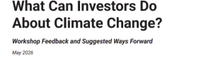 What can investors do about climate change?
