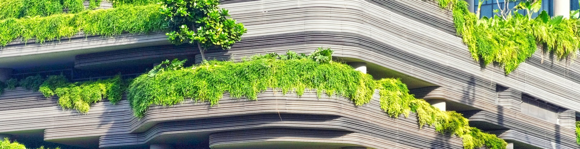building with green plants