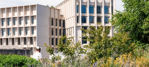 View of LSE's Marshall Building from CBG Terrace