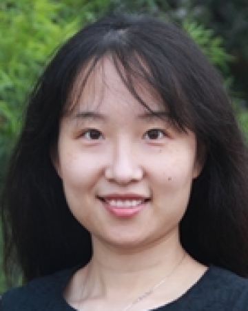 Linyan Zhu